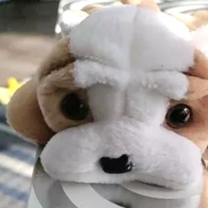 TY Beanie Babies Wrinkles - a bulldog